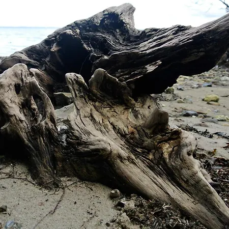 4 Person In Hejls-by Traum * Hejls