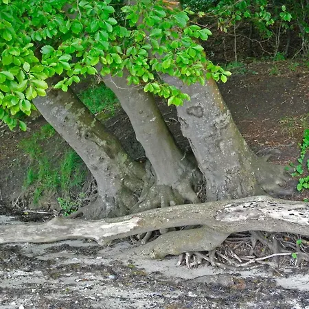 4 Person In Hejls-by Traum Holiday home *