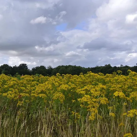 Holiday home 4 Person In Hejls-by Traum Hejls