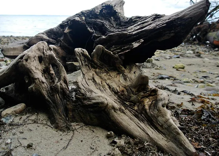 4 Person In Hejls-by Traum * Hejls