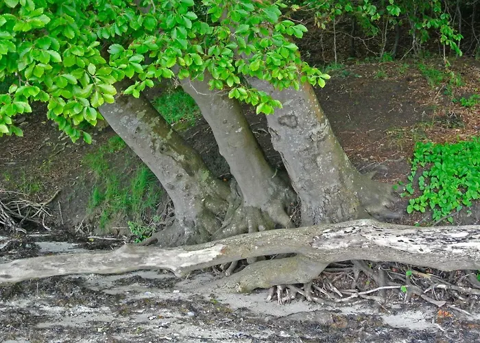 4 Person In Hejls-by Traum Prázdninový dům *