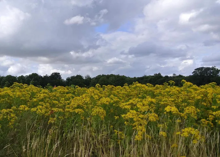 Prázdninový dům 4 Person In Hejls-by Traum Hejls